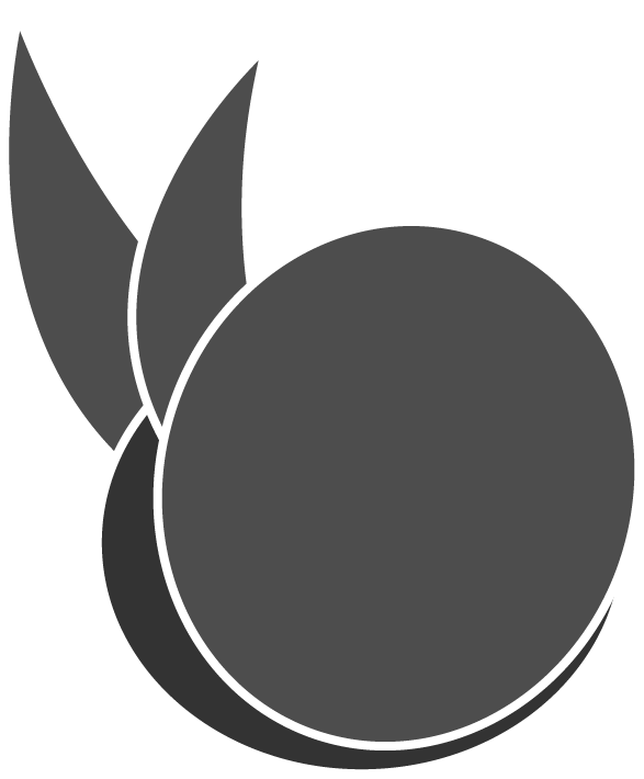 Website Logo
